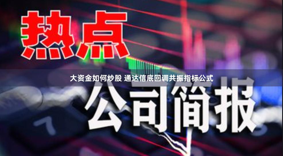 大资金如何炒股 通达信底回调共振指标公式