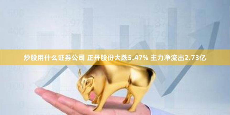 炒股用什么证券公司 正丹股份大跌5.47% 主力净流出2.73亿