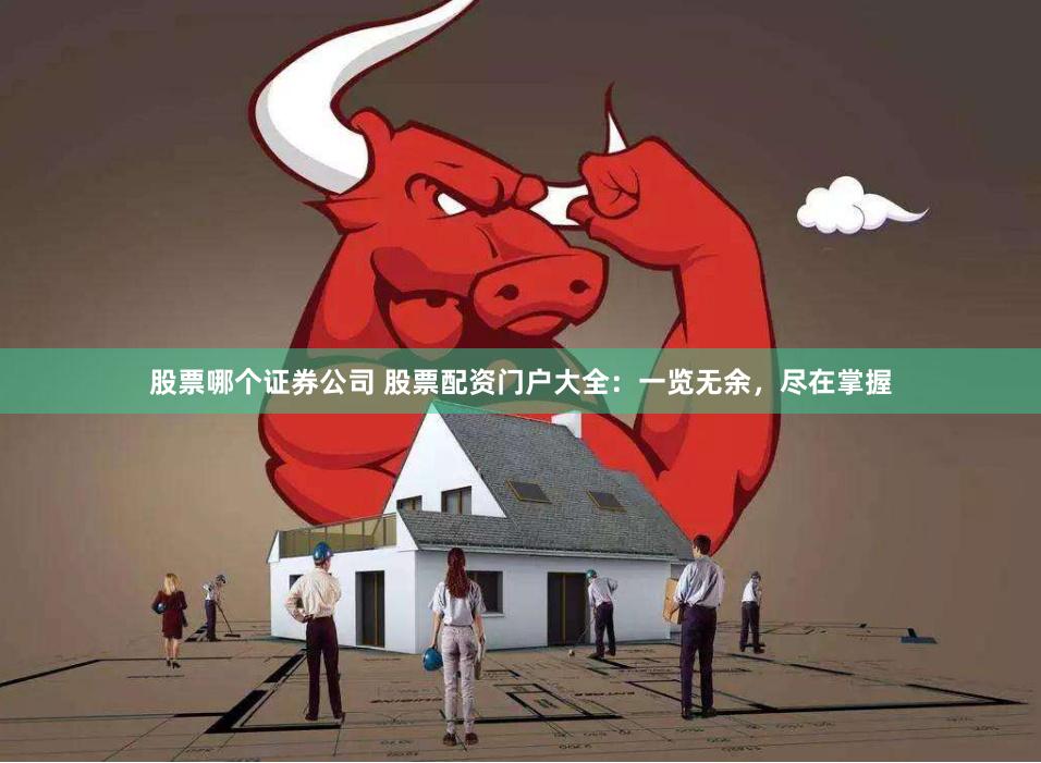 股票哪个证券公司 股票配资门户大全：一览无余，尽在掌握